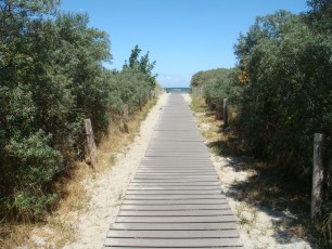 Villa Schwalbe Strandaufgang